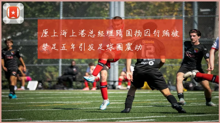 原上海上港总经理隋国扬因行贿被禁足五年引发足球圈震动