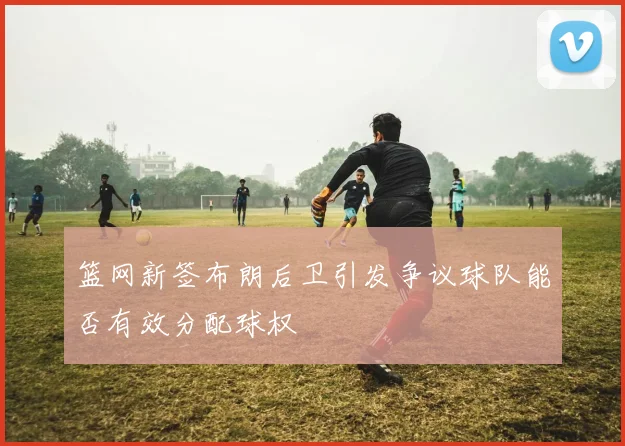 篮网新签布朗后卫引发争议球队能否有效分配球权